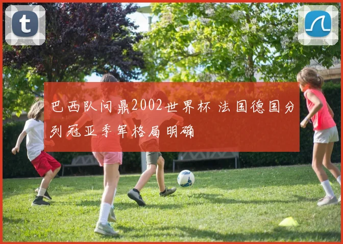 巴西队问鼎2002世界杯 法国德国分列冠亚季军格局明确